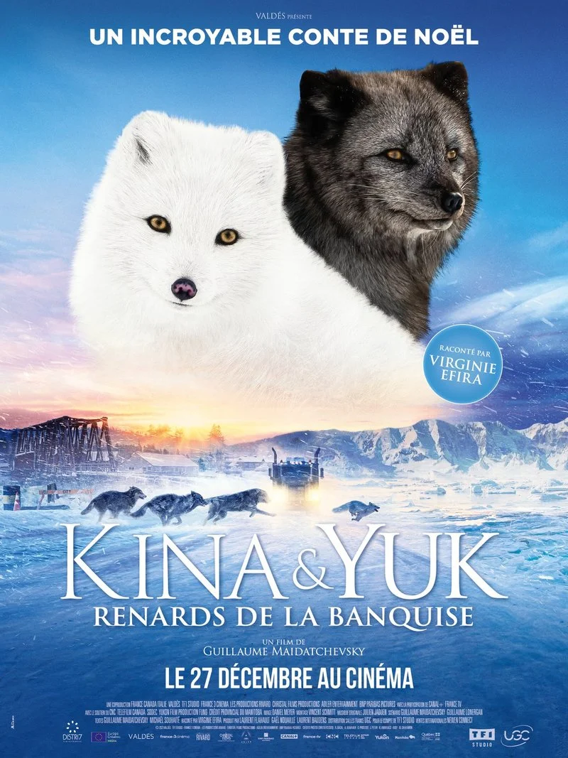 Affiche de Kina & Yuk : Renards de la banquise