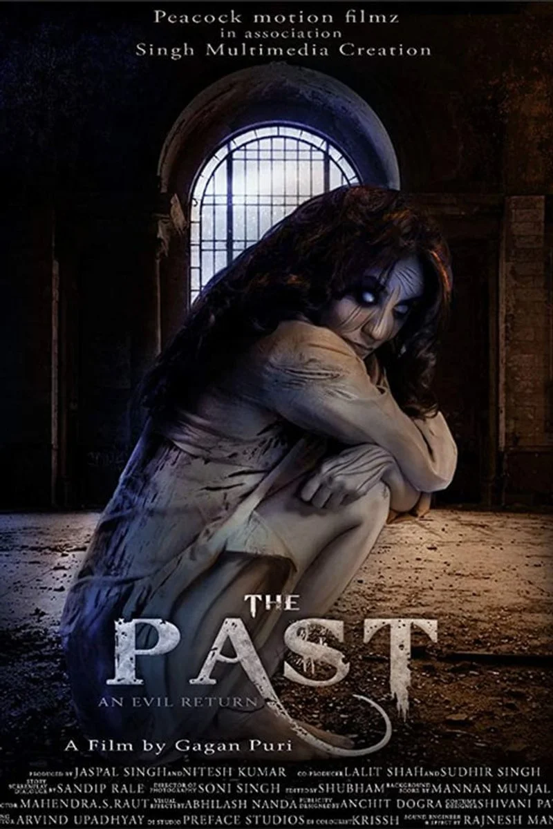 Affiche de The Past