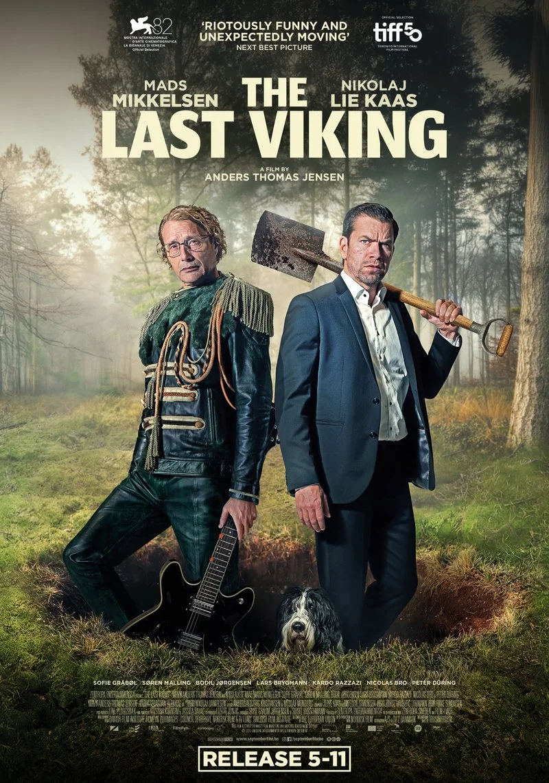 Affiche de The Last Viking