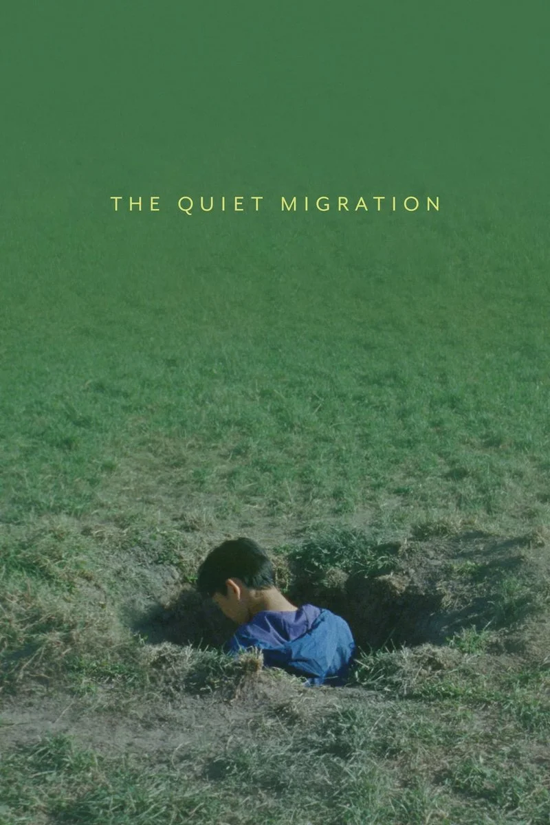 Affiche de THE QUIET MIGRATION