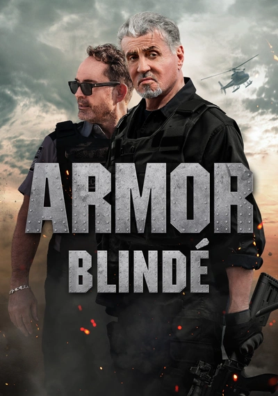 Affiche Armor
