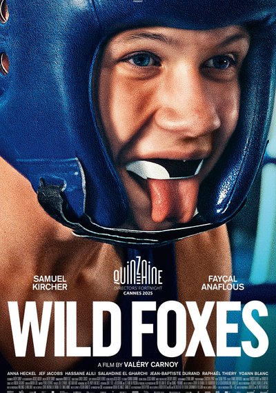 Poster La danse des renards