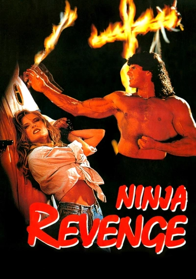 Affiche Ninja Vengeance
