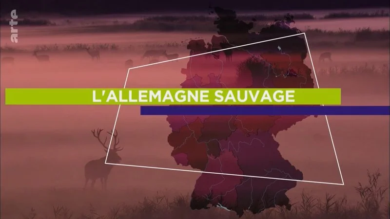 Affiche de L'Allemagne sauvage : La Lusace