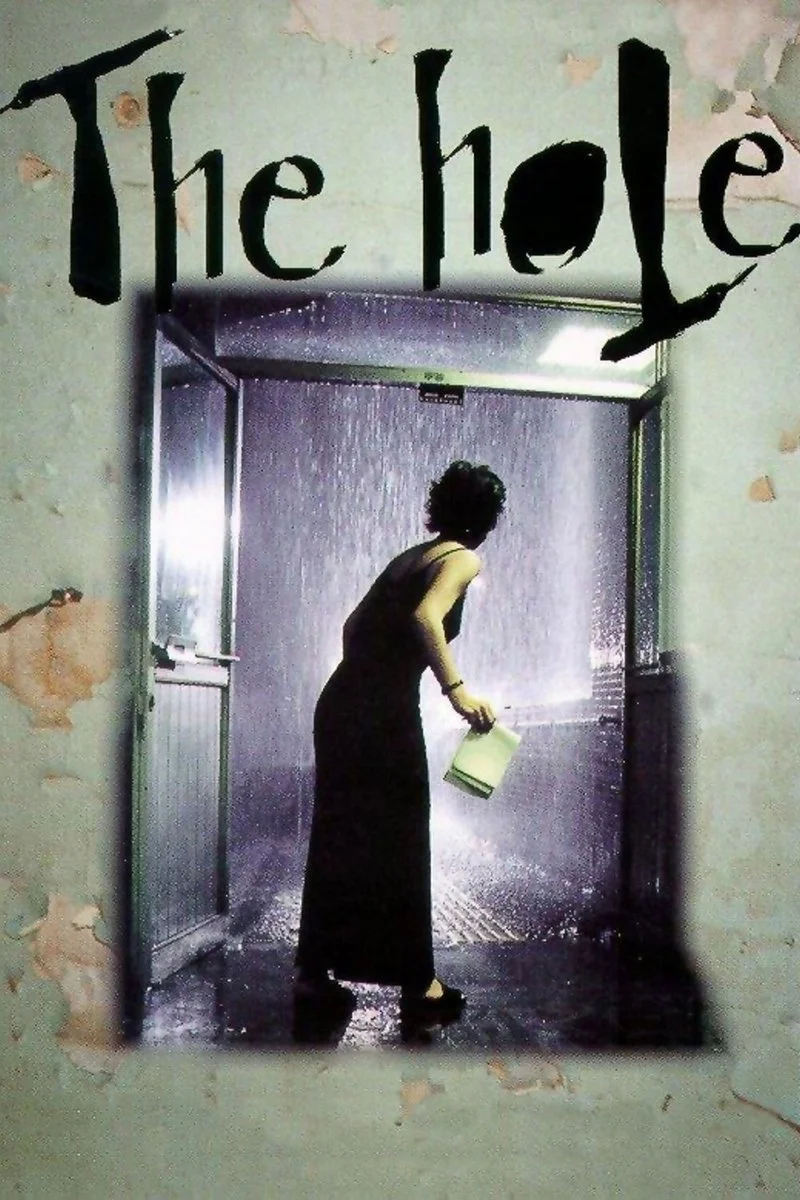 Affiche de The Hole (Dong)
