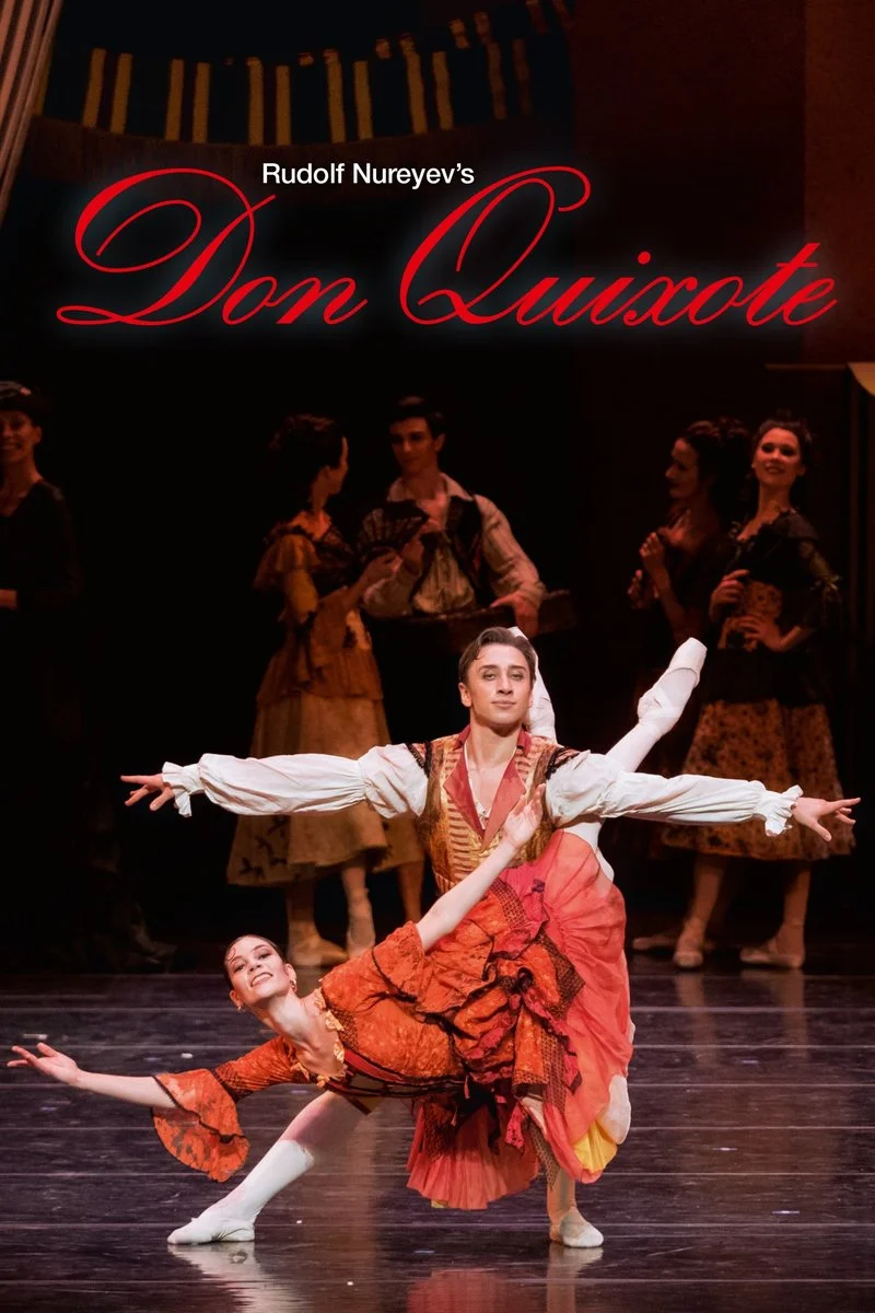 Affiche de Don Quixote
