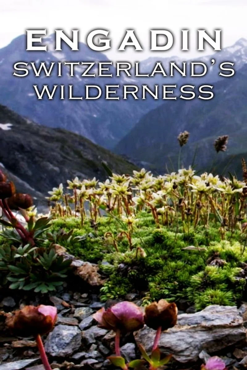 Affiche de Engadin: Switzerland's Wilderness