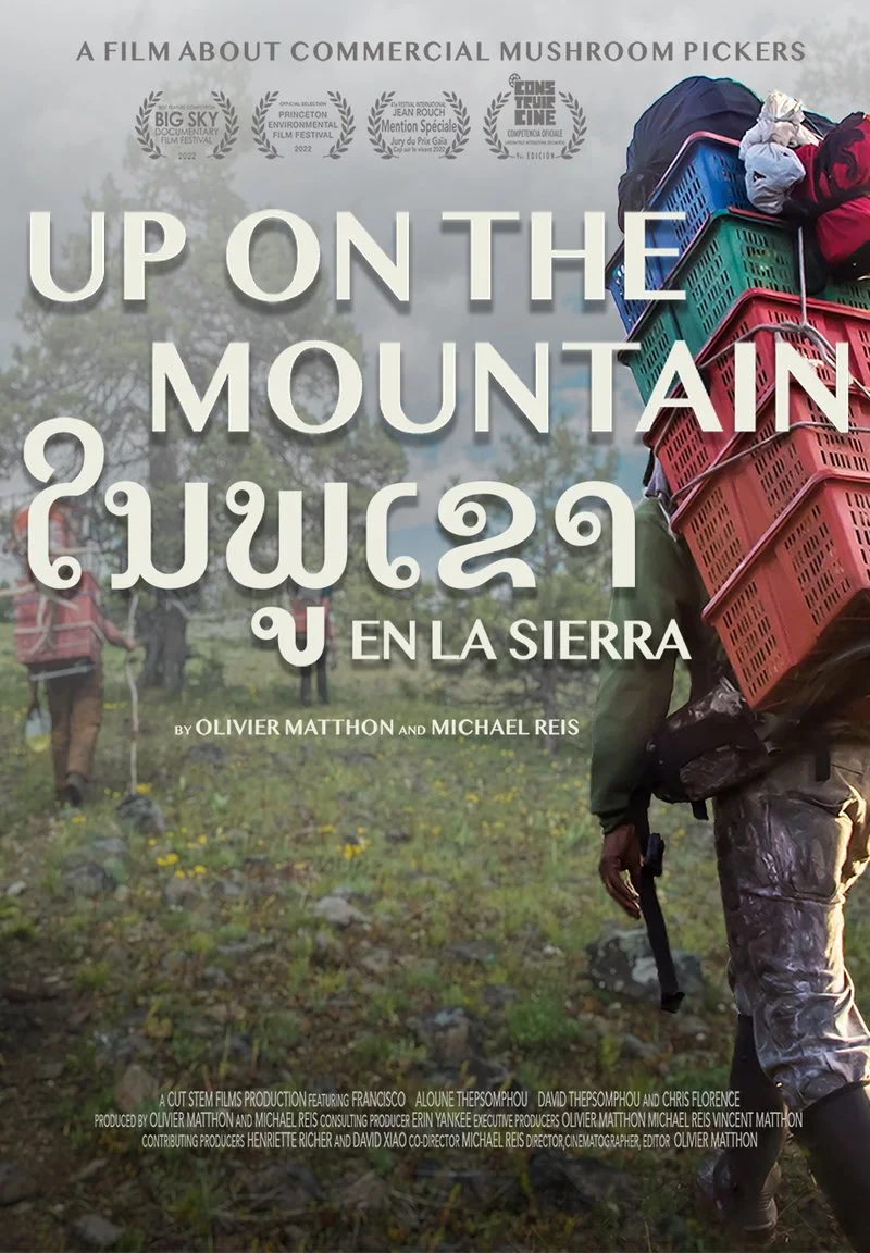 Poster van Up on the Mountain