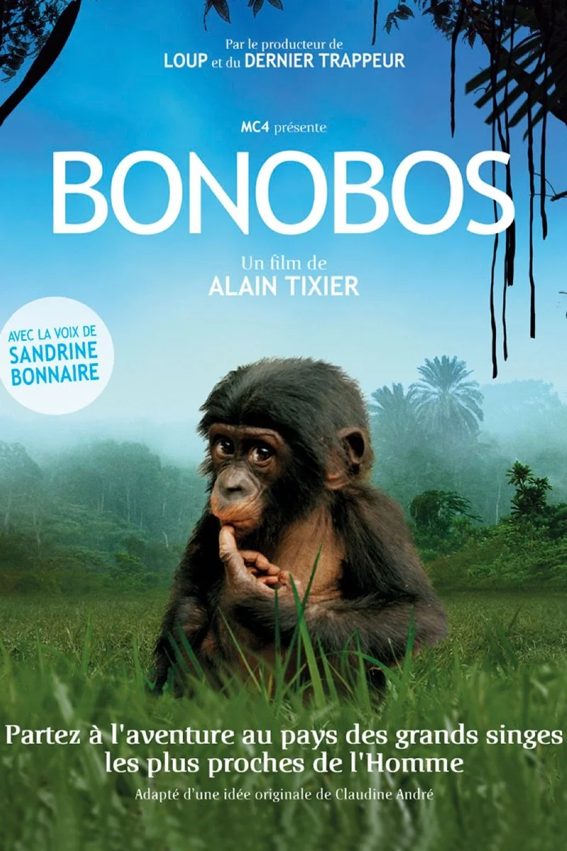 Affiche de Bonobos