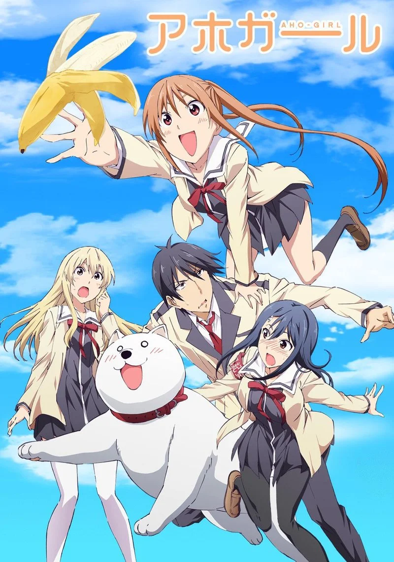 Poster van AHO-GIRL