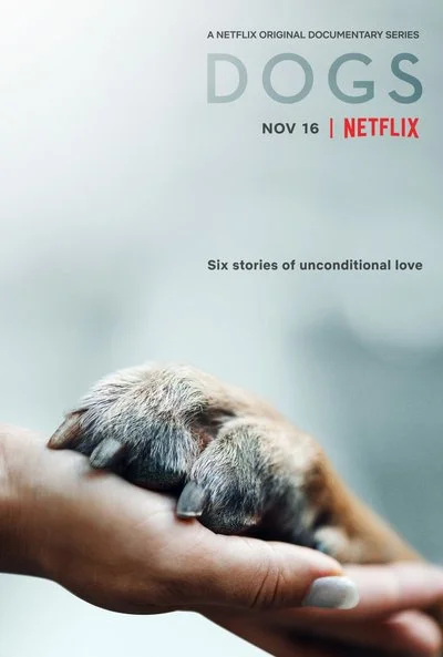 Poster Dogs