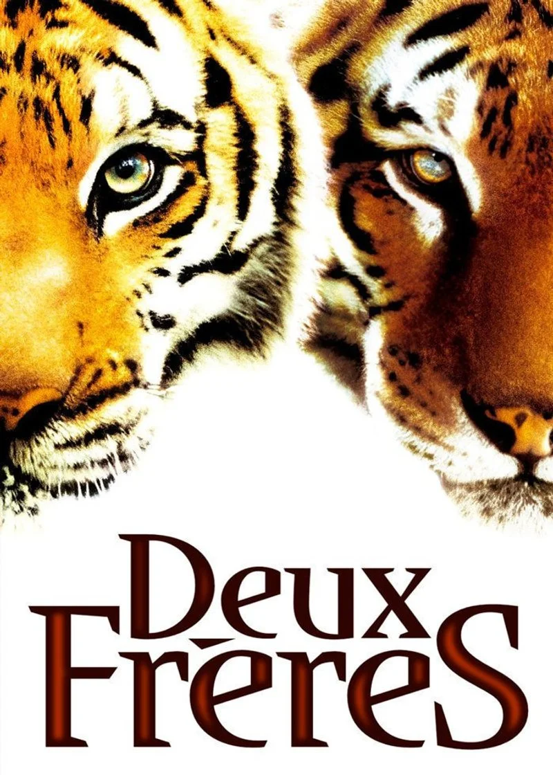 Affiche de Deux frères