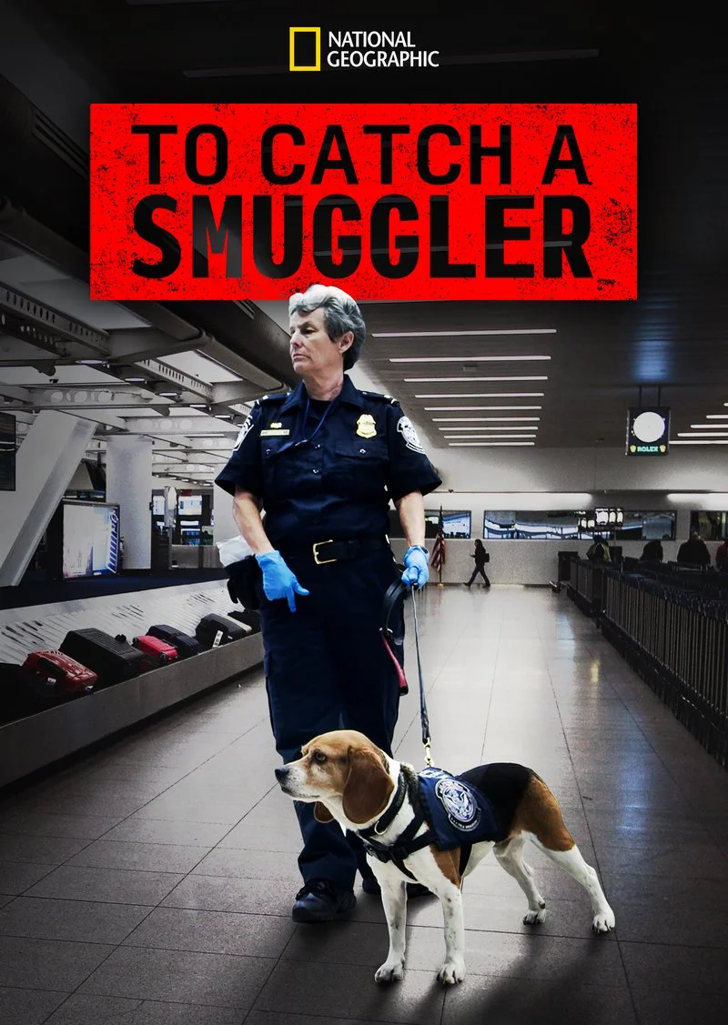 Affiche de Ultimate Airport USA