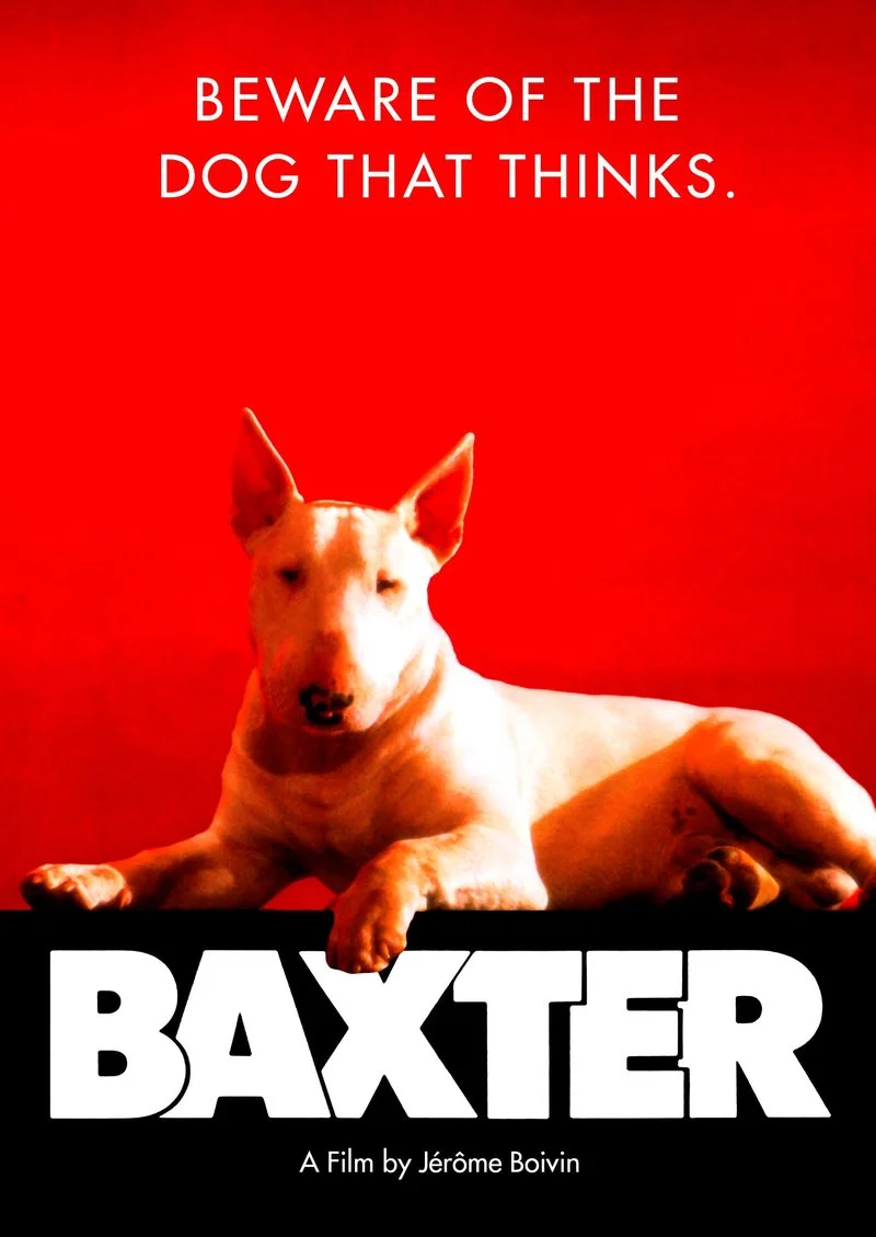 Affiche de Baxter