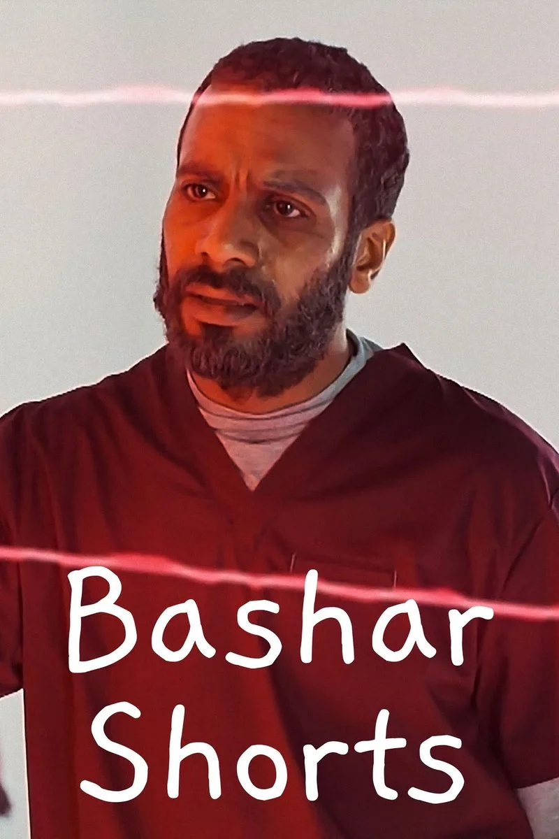 Affiche de Bashar 