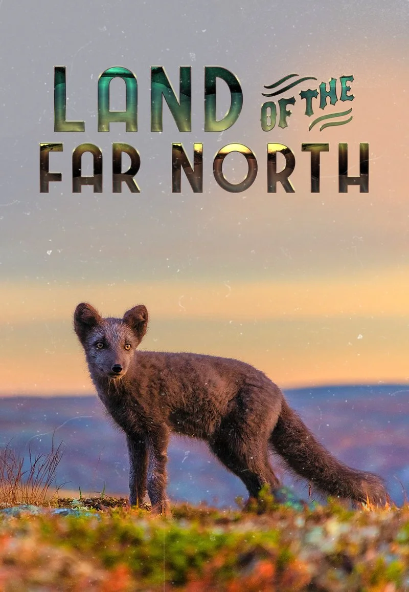 Poster van Land of the Far North