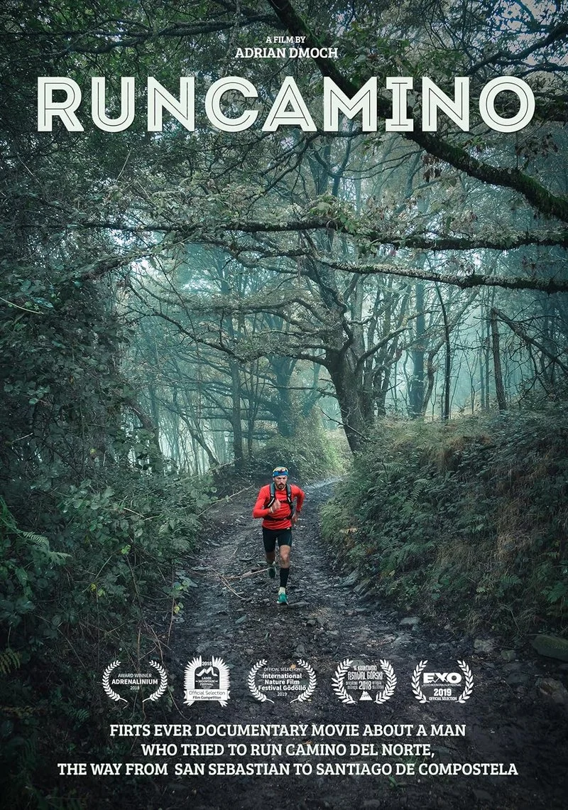 Poster van RunCamino