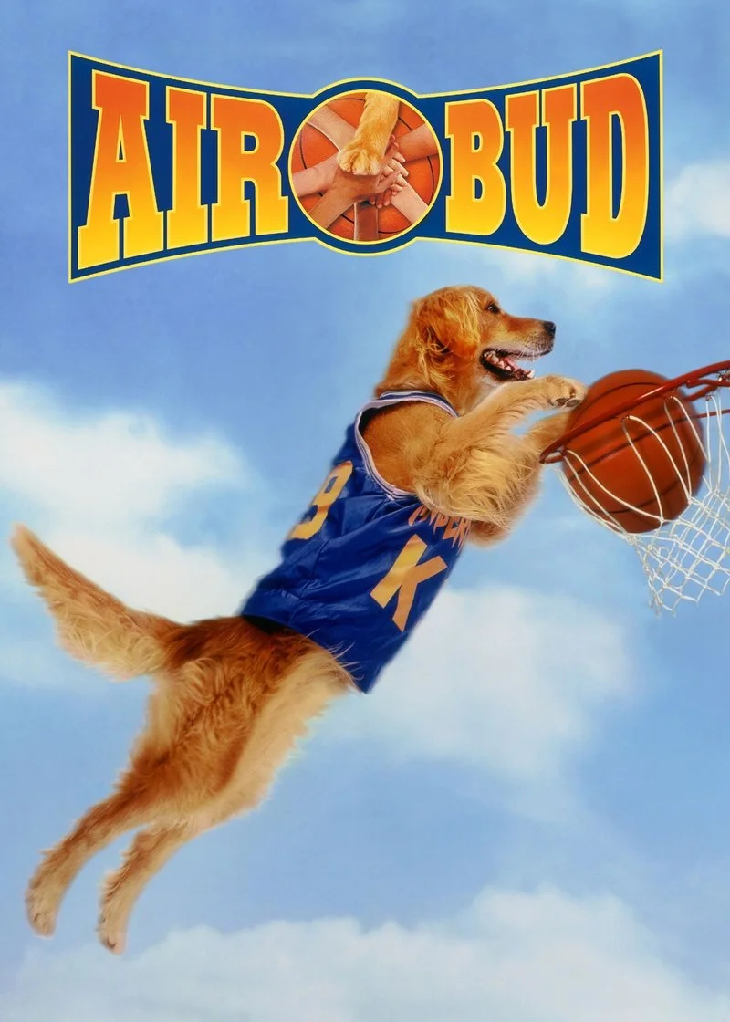 Affiche de Air Bud