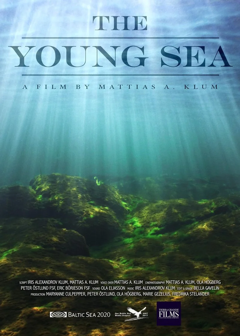 Poster van The Young Sea