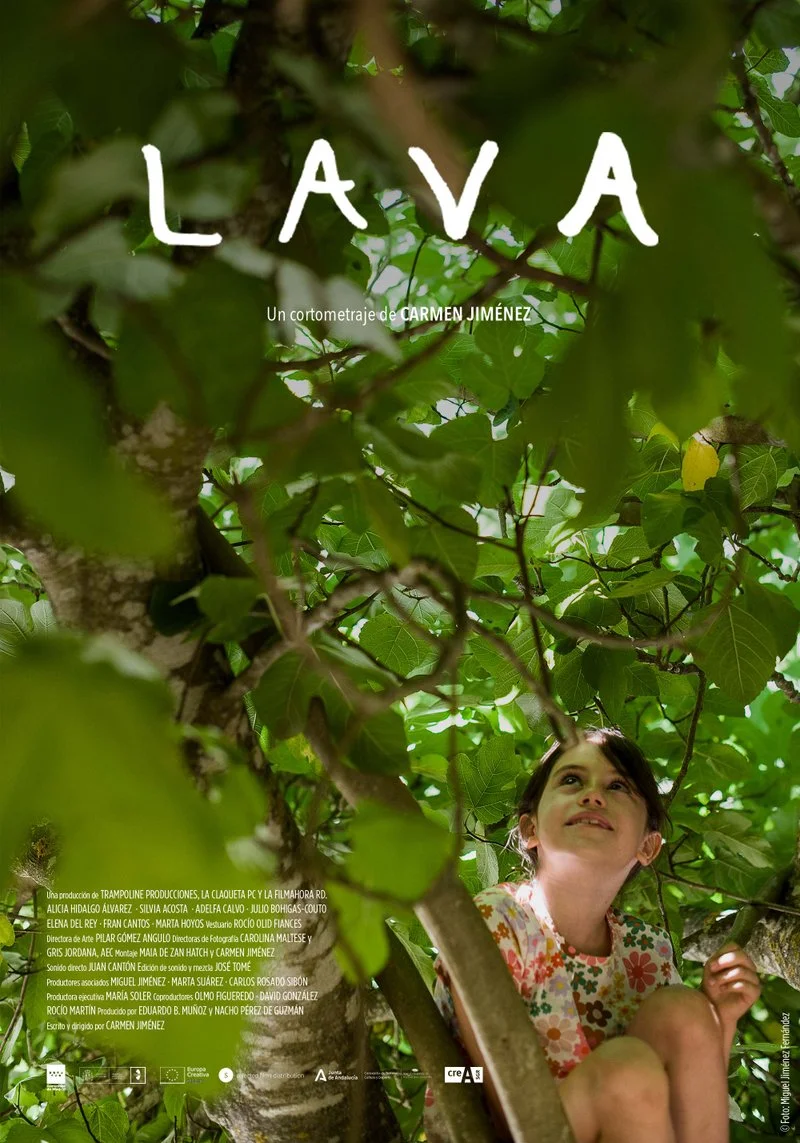 Affiche de Lava
