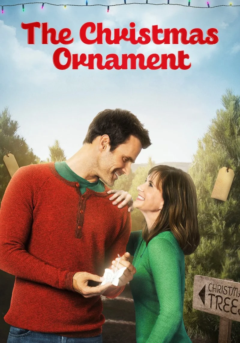Affiche de Une rencontre pour Noël