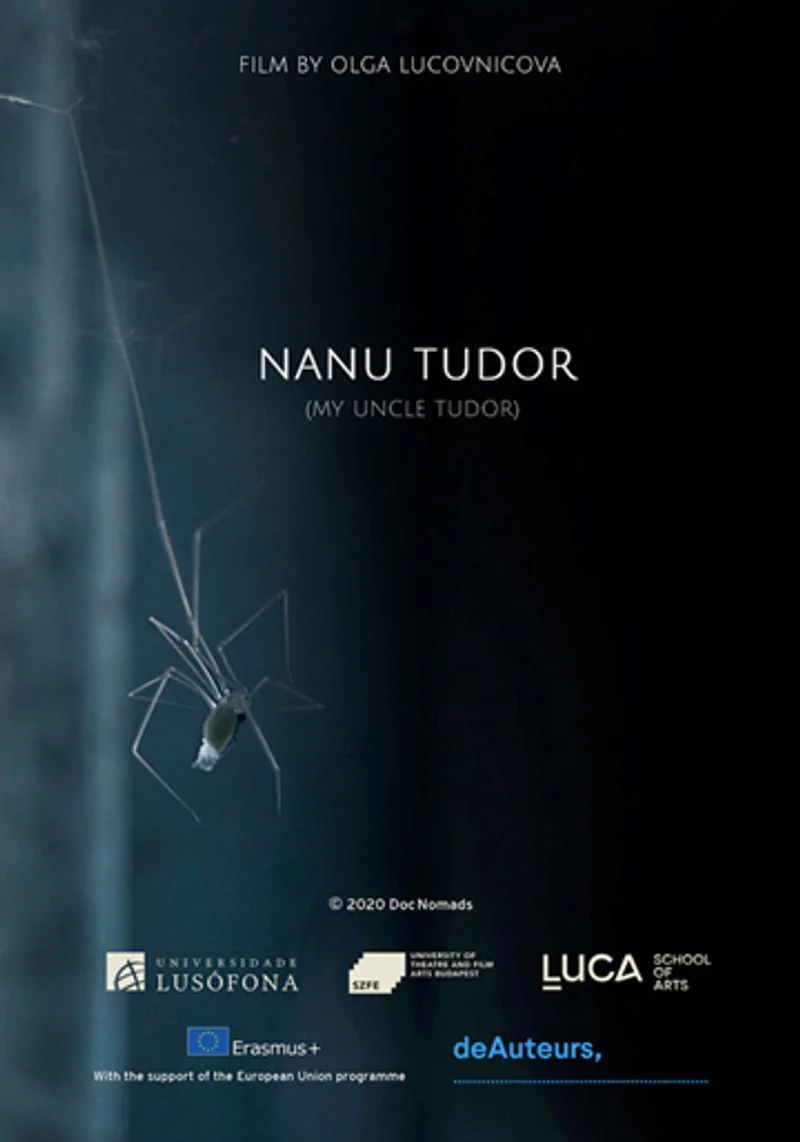 Affiche de My uncle Tudor