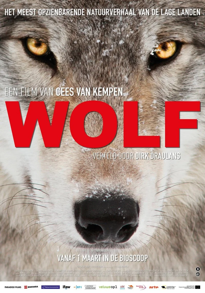 Poster van Wolf