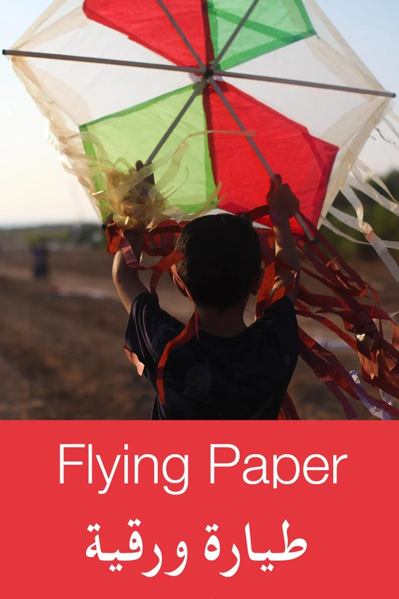 Affiche de Flying Paper