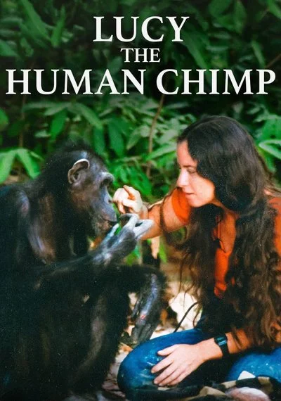 Poster Lucy, the Human Chimp