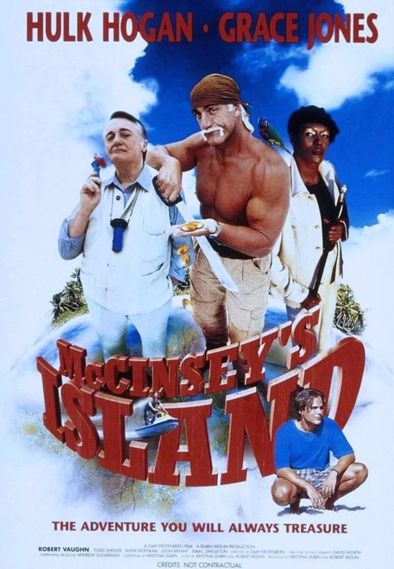 Affiche de Le trésor de McCinsey