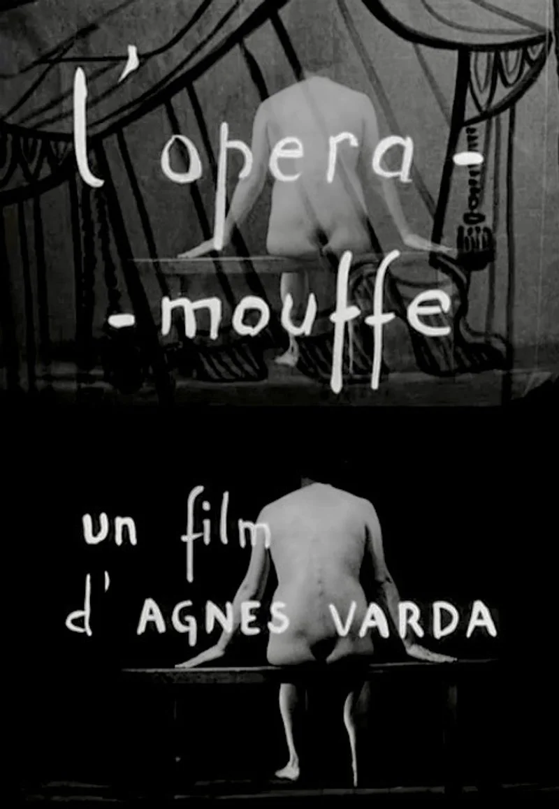 Affiche de Diary of a Pregnant Woman