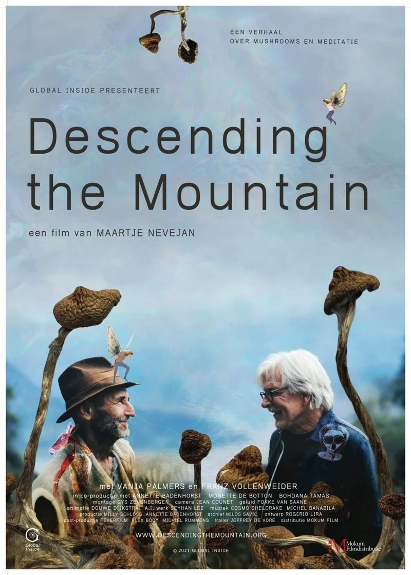 Affiche de Descending the Mountain