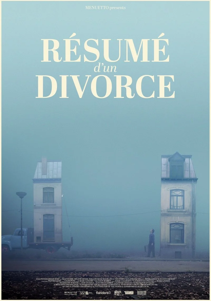 Affiche de Résumé d'un divorce