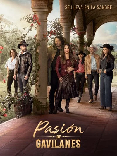 Poster Pasión de Gavilanes