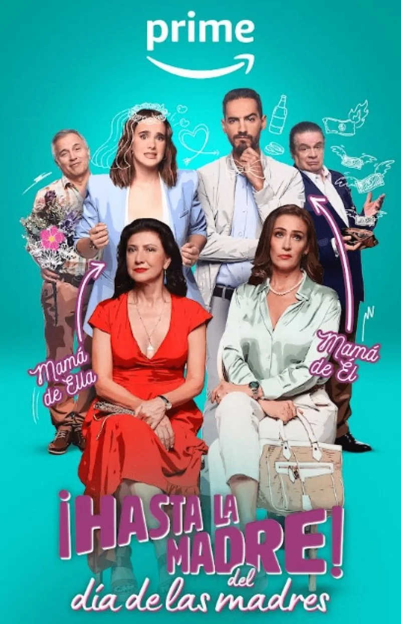 Affiche de La fête des mères est annulée