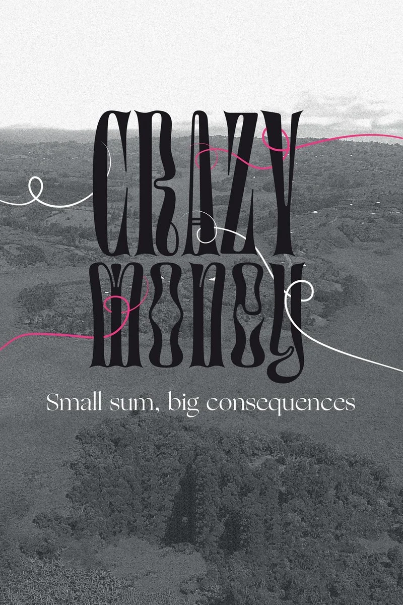 Affiche de Crazy Money