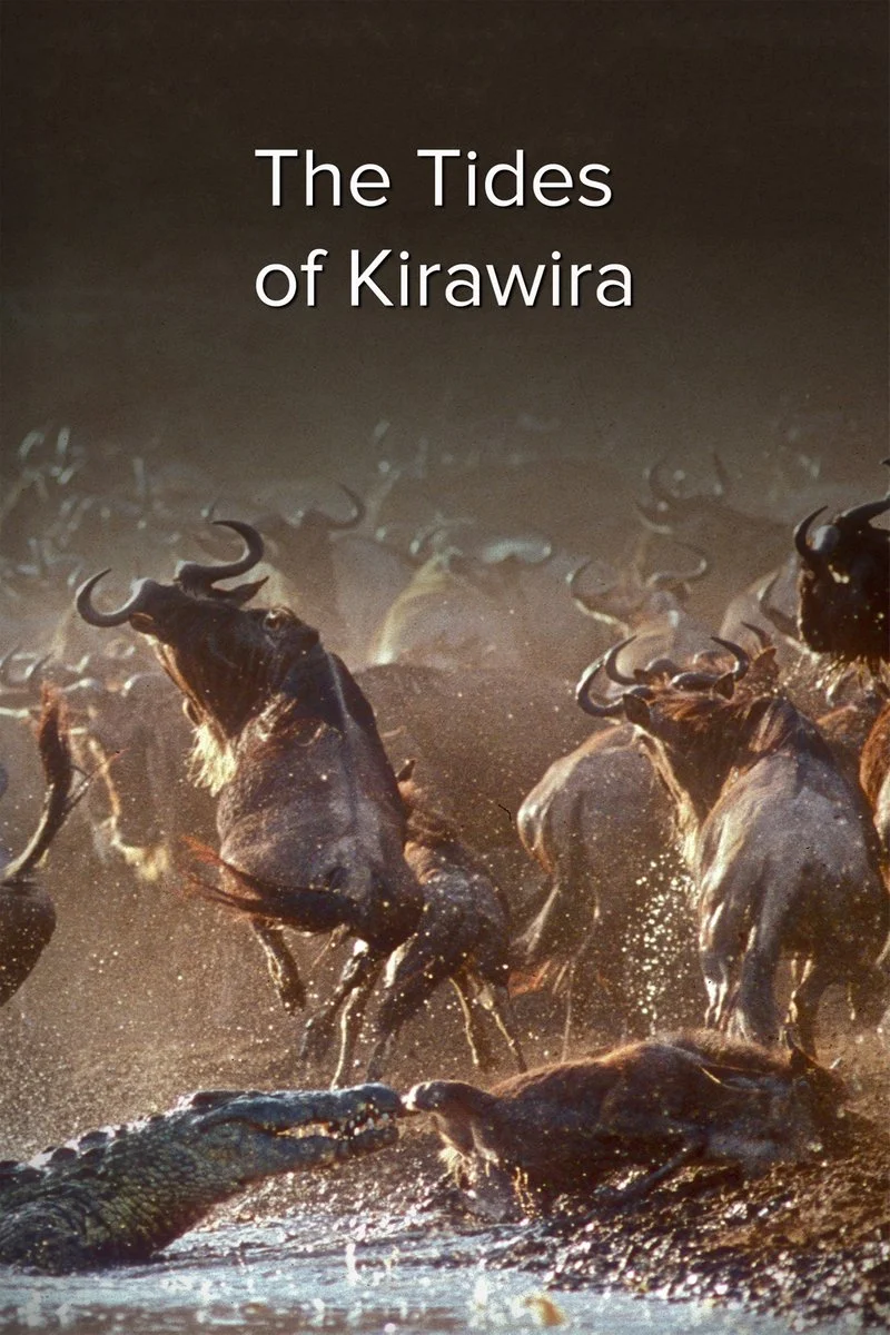 Poster van The Tides of Kirawira