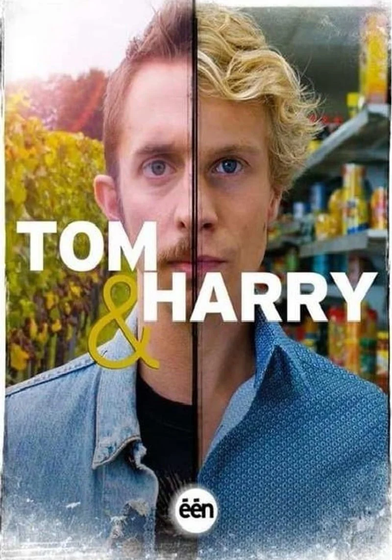 Affiche de Tom & Harry