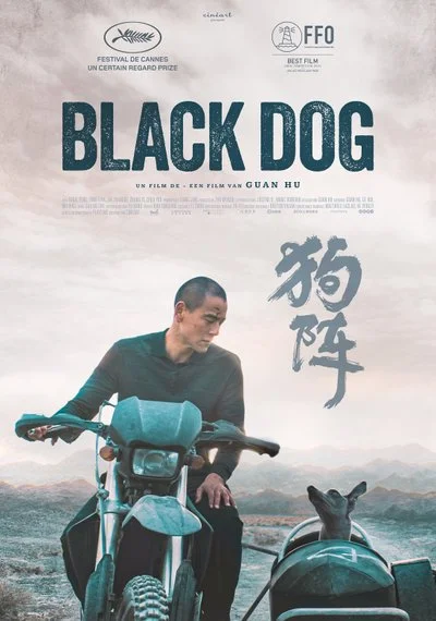 Affiche Black Dog