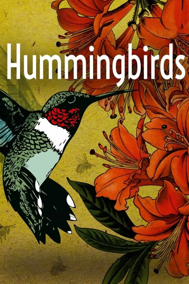 Poster van Hummingbirds: Jewelled Messengers