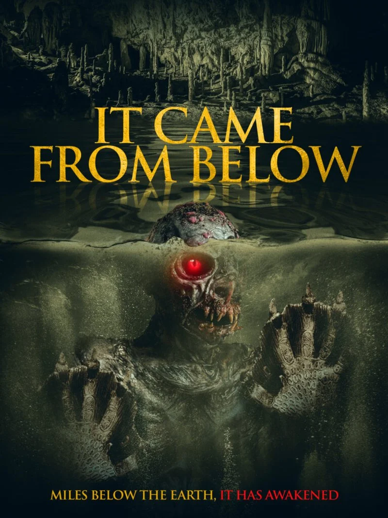 Affiche de It Came From Below