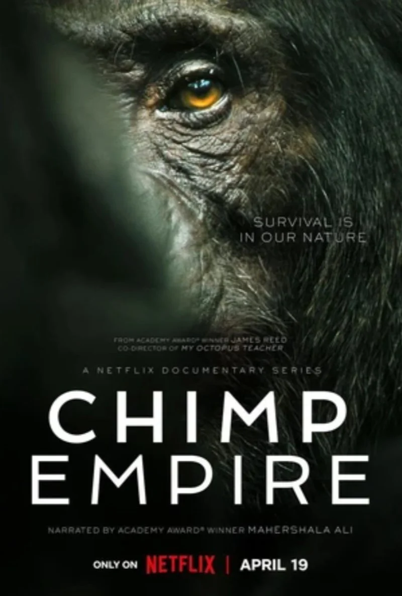 Affiche de Chimp Empire