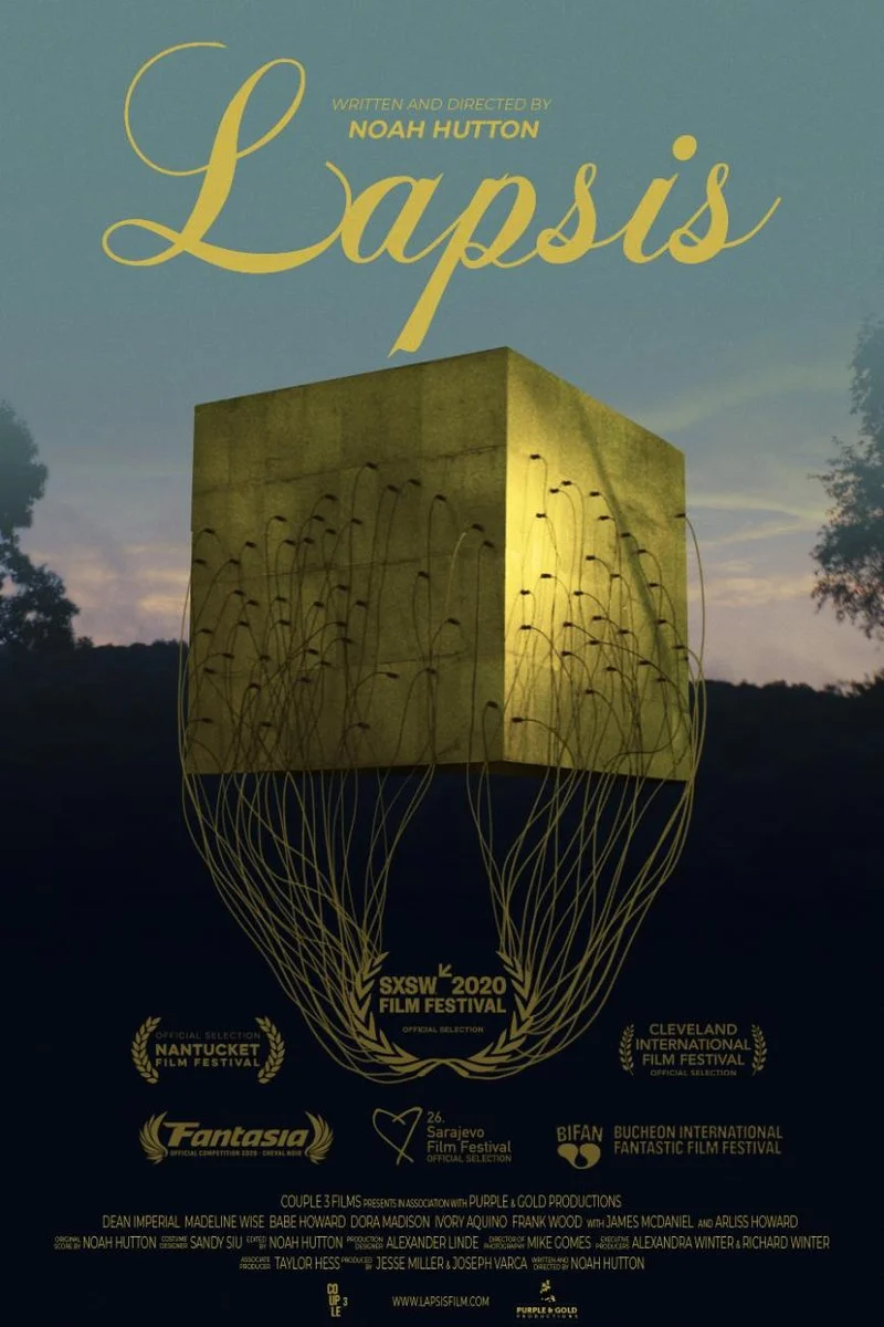 Affiche de Lapsis