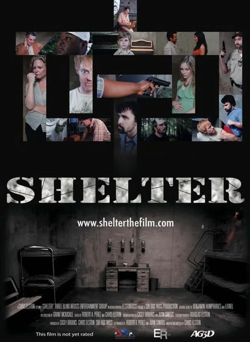 Poster van Shelter
