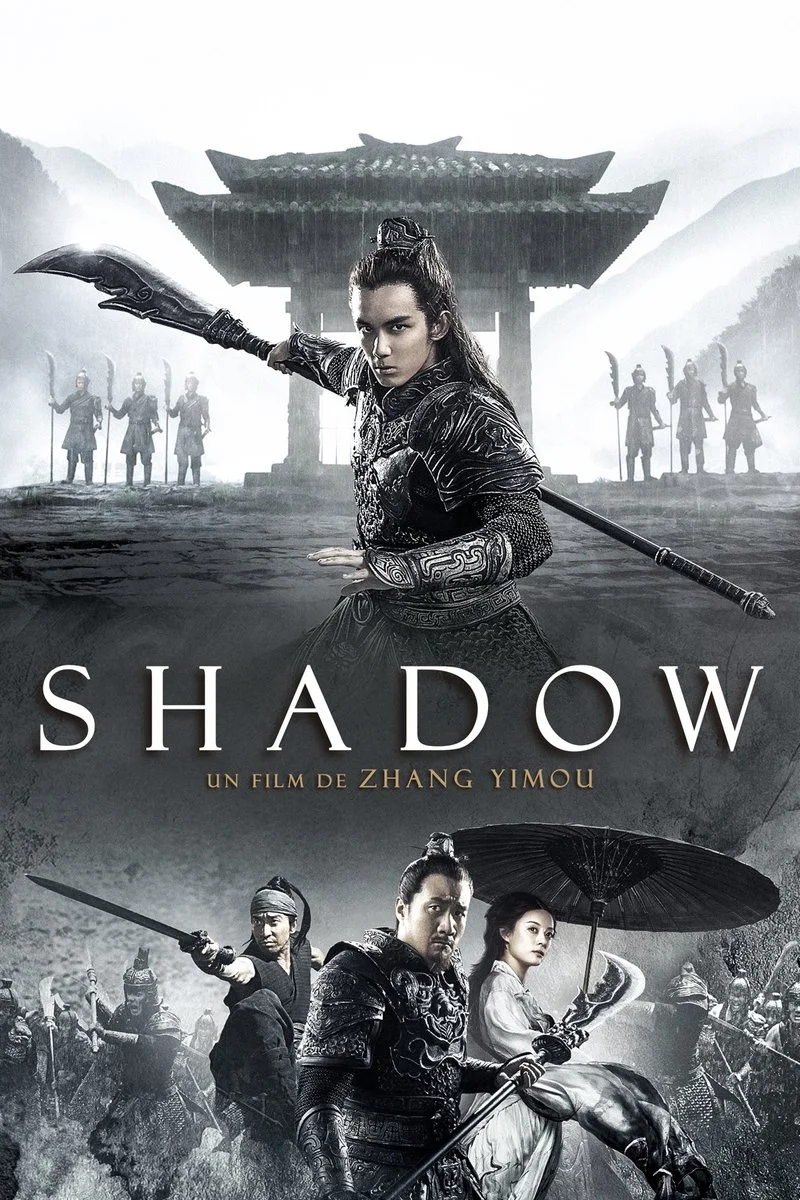 Affiche de Shadow