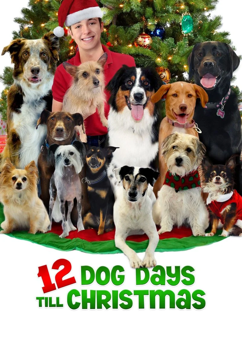 Affiche de 12 Dog Days Till Christmas