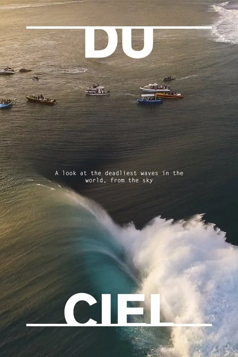 Poster van Surfing Presents: Du Ciel