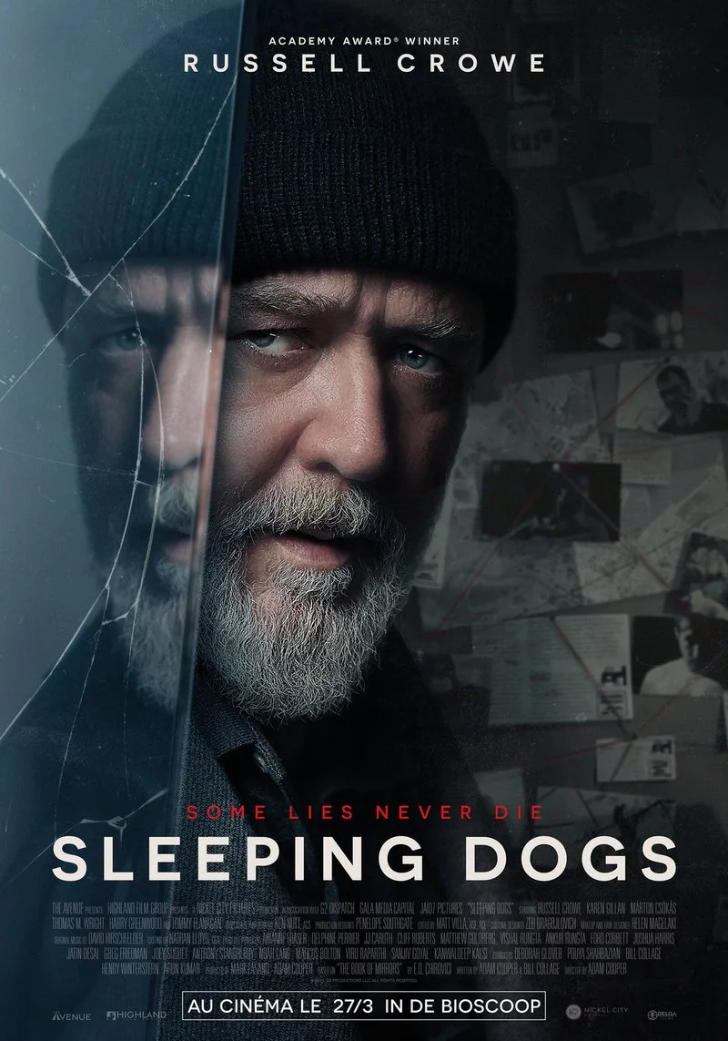 Poster van Sleeping Dogs