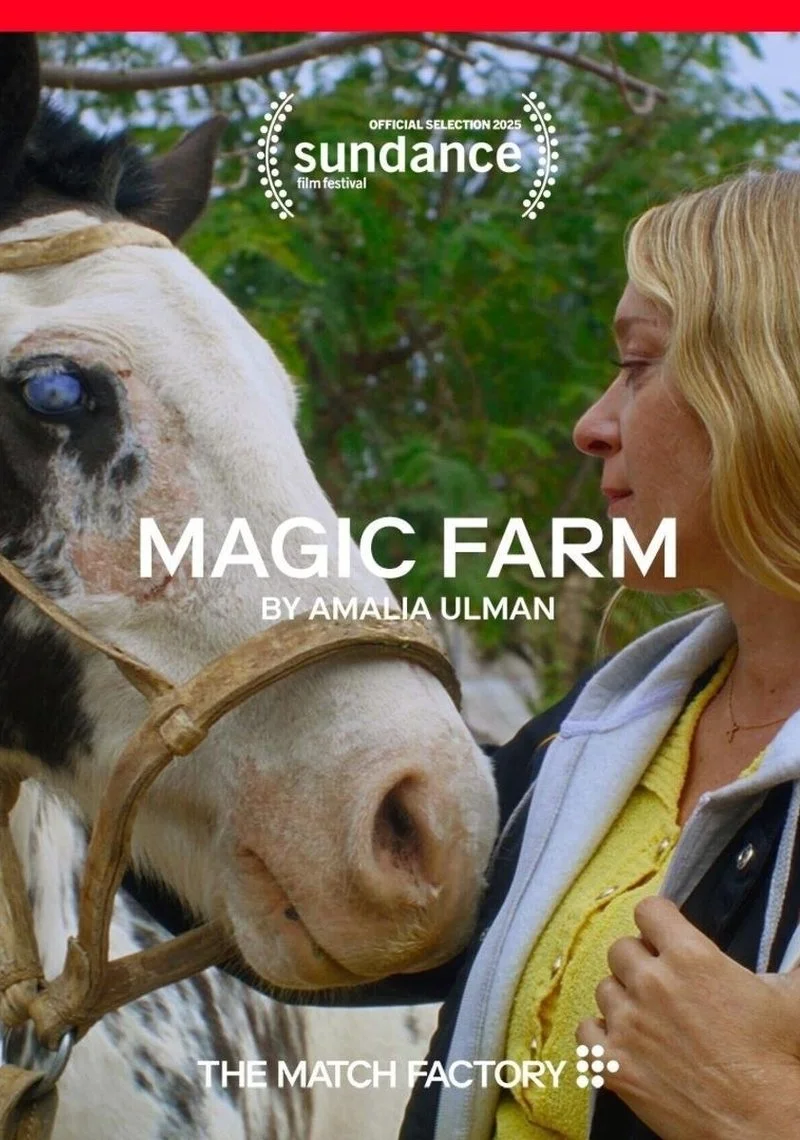 Affiche de Magic Farm