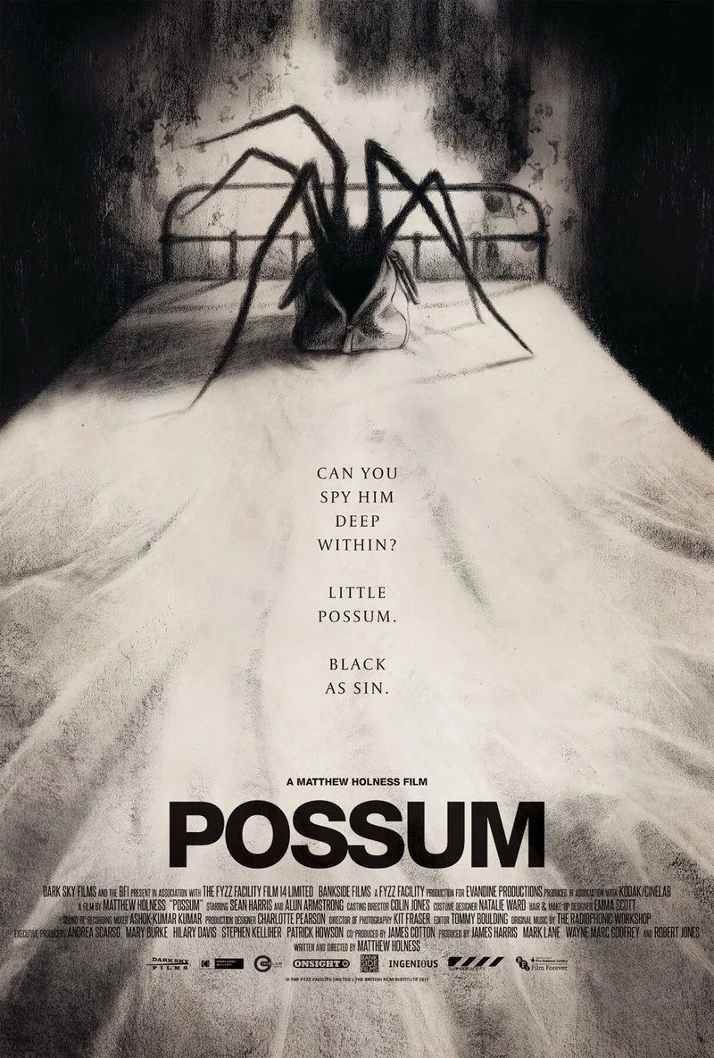 Affiche de Possum